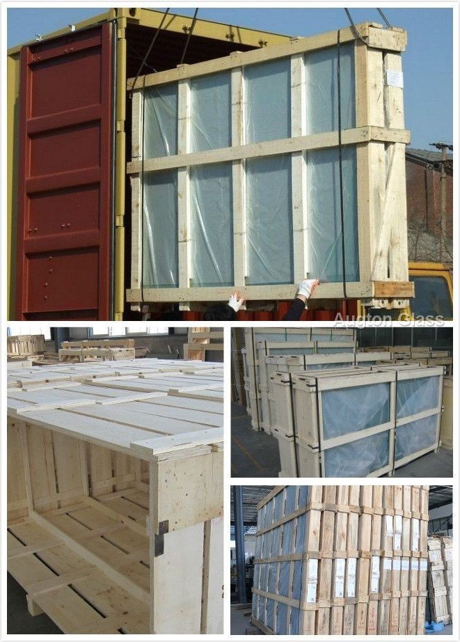 Delivery & Export